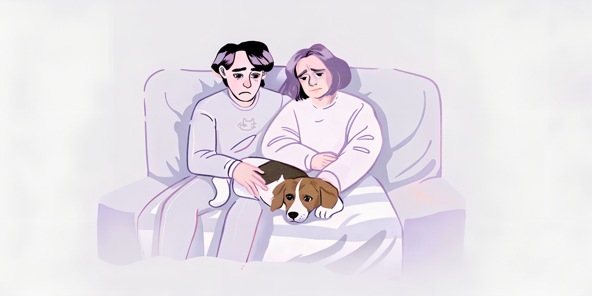 The Complete Guide to Therapy Pets in India: How Your Pet Can Help Your Mental Health